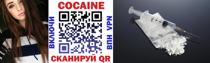 Cocaine FishScale  Купить закладки  Болотное 