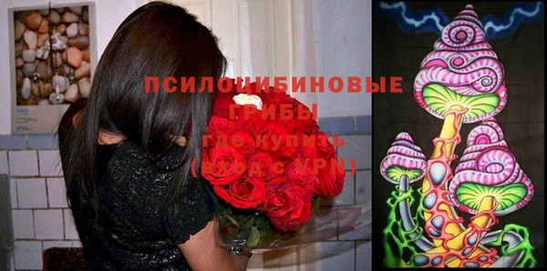 мет Кулебаки