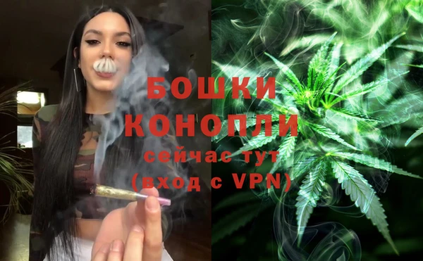 apvp Кукмор