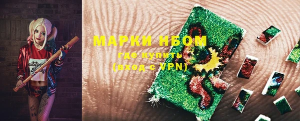 apvp Кукмор